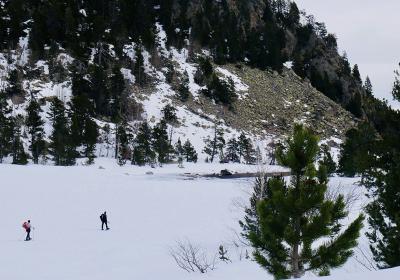 Snowshoeing in the National Park of Aigüestortes