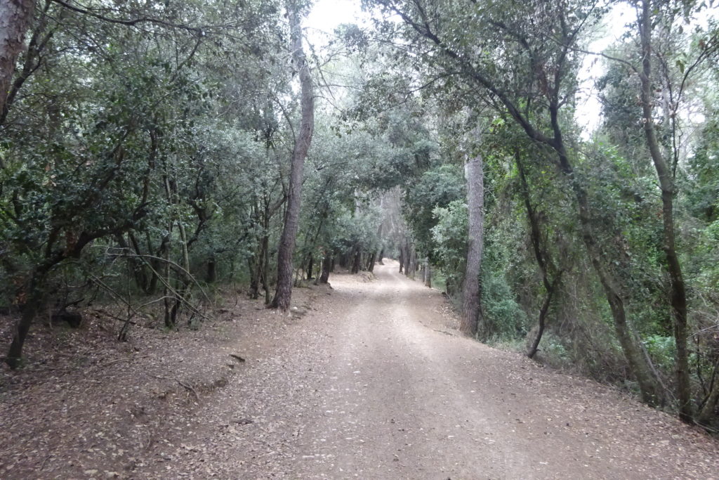 שביל GR1: קטע שלישי: וינאט דה קאן קלמאו - באניולס