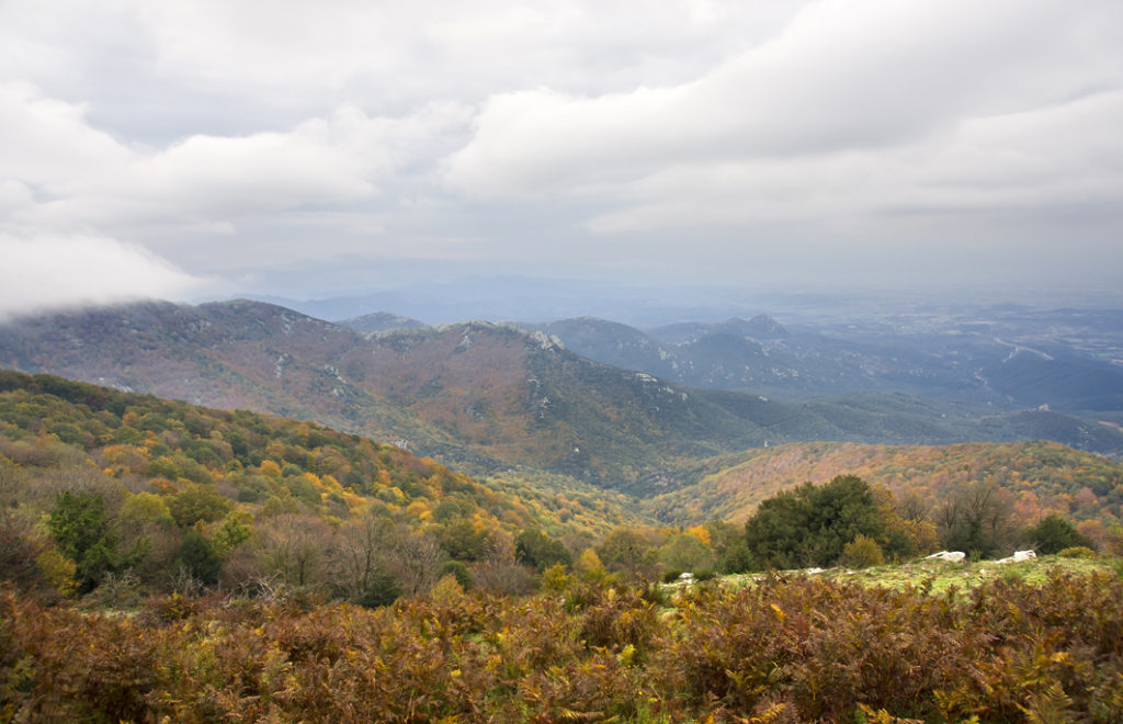 Albera Natural Site of National Interest