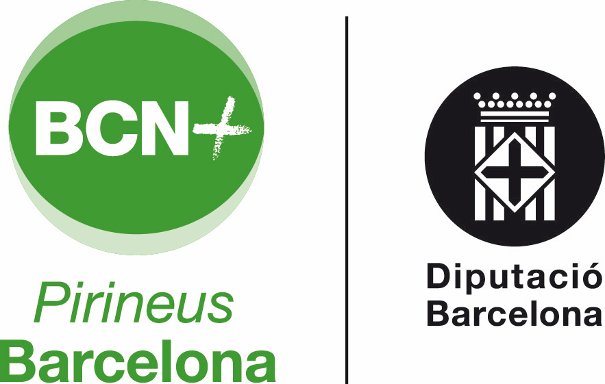 Pirineus de Barcelona