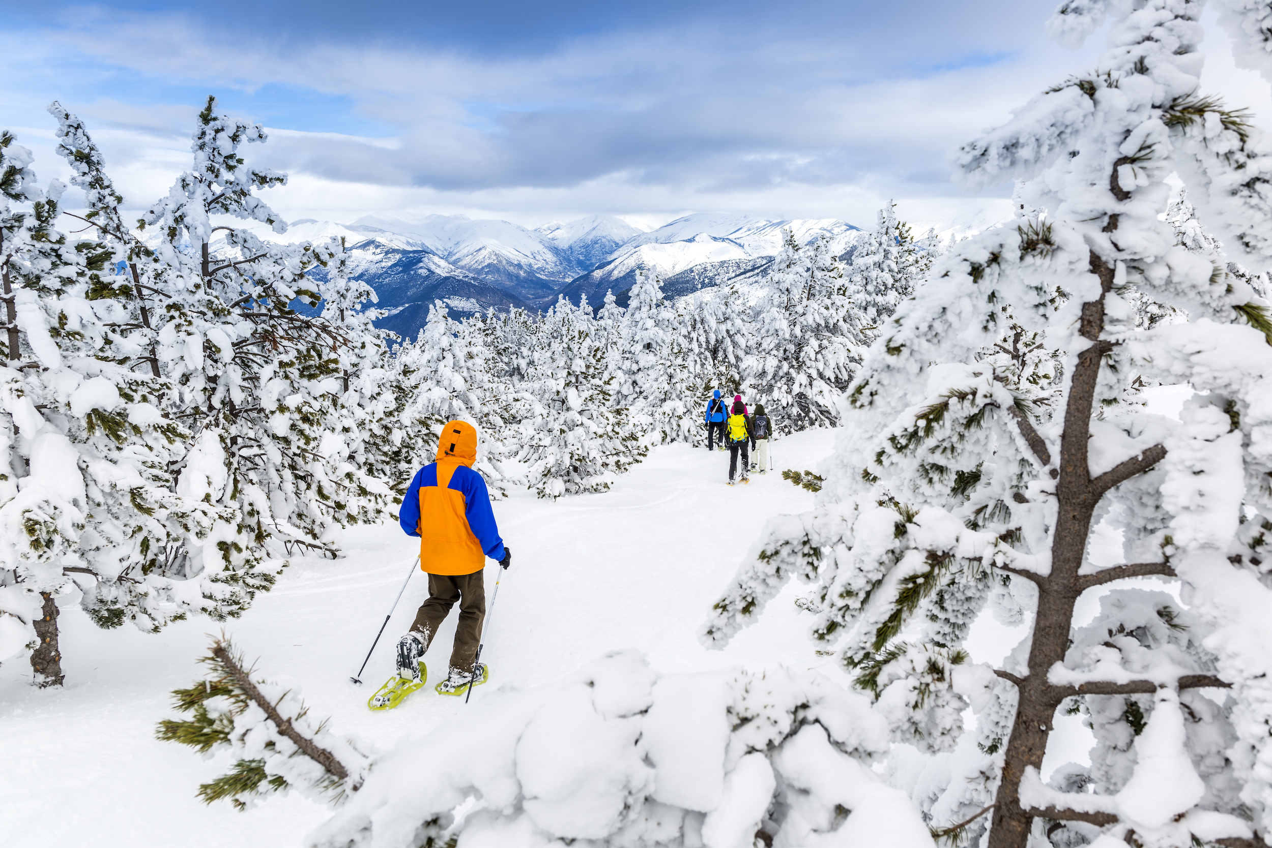 Raquetes de neu i esquí de fons