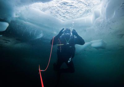 plongée sous glace