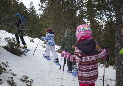 Estacions familiars pirineus