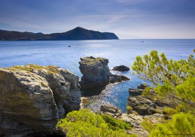 Alt Empordà