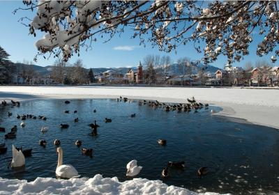 Cerdanya