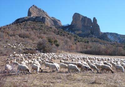 Pallars Jussa