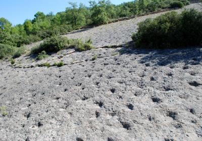 Pallars Jussa