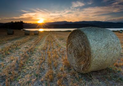 Pallars Jussa