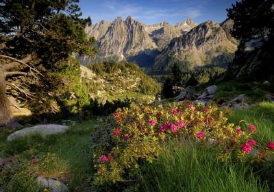 Pirineus | Parc Nacional d’Aigüestortes i Estany de Sant Maurici