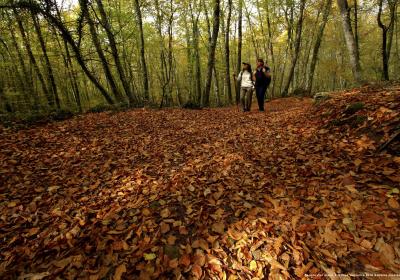 Parc Natural de la Zona Volcànica de la Garrotxa