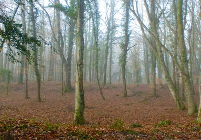 Parc Natural de la Zona Volcànica de la Garrotxa