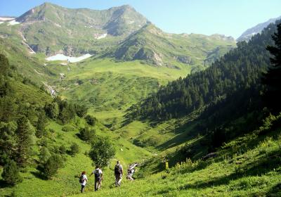 Parc Natural de l'Alt Pirineu