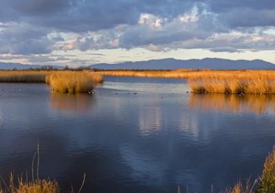 Parc dels Aiguamolls de L'Empordà