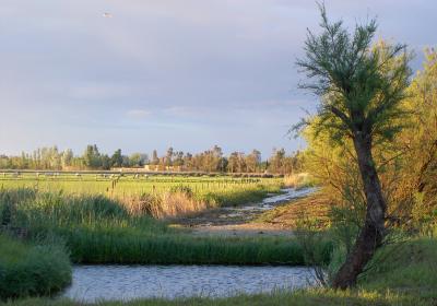 Parc dels Aiguamolls de L'Empordà