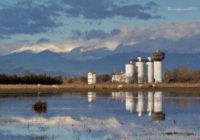 Parc dels Aiguamolls de L'Empordà