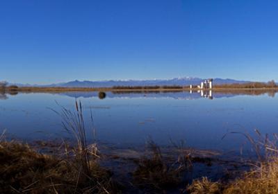 Parc dels Aiguamolls de L'Empordà