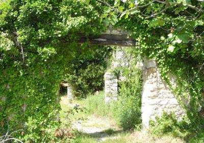 Etapa 7: Sant Aniol d'Aguja - Beget