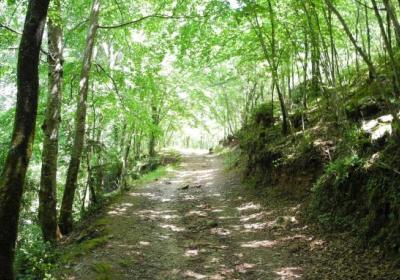 Etapa 7: Sant Aniol d'Aguja - Beget