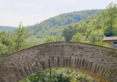 Beget