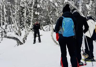 Snowshoeing in the National Park of Aigüestortes