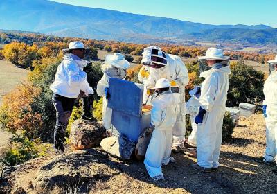 Expérience apicole à Mont Rebei
