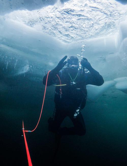 plongée sous glace