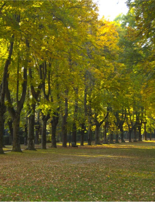 Vall de Ribes y Vall de Camprodon