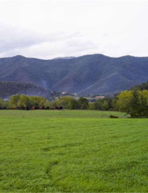 Vall d’en Bas y Vall de Bianya