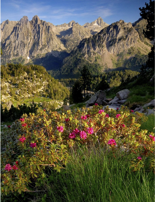 Valles de l’Alt Pirineu