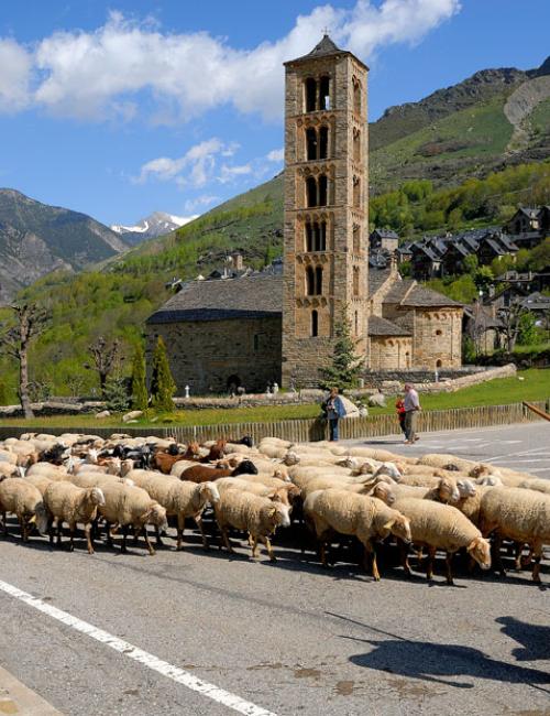 VALl DE BOÍ