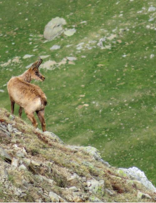 Rutes Pirineus