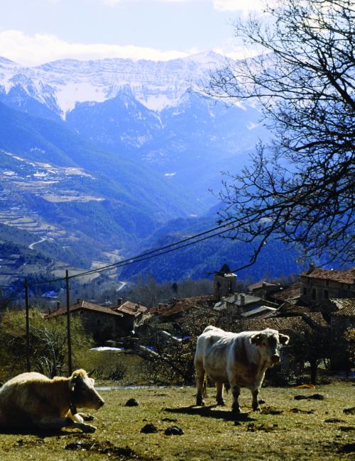 Cerdanya