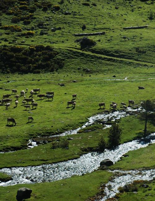 Pallars Sobirà