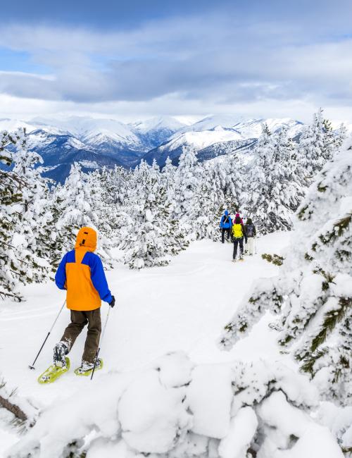 Raquetes de neu i esquí de fons