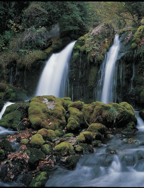 Les fonts del Llobregat