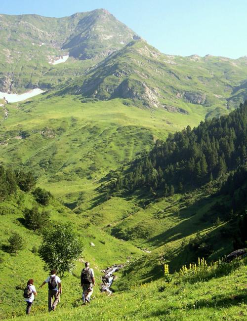 Parc Natural de l'Alt Pirineu