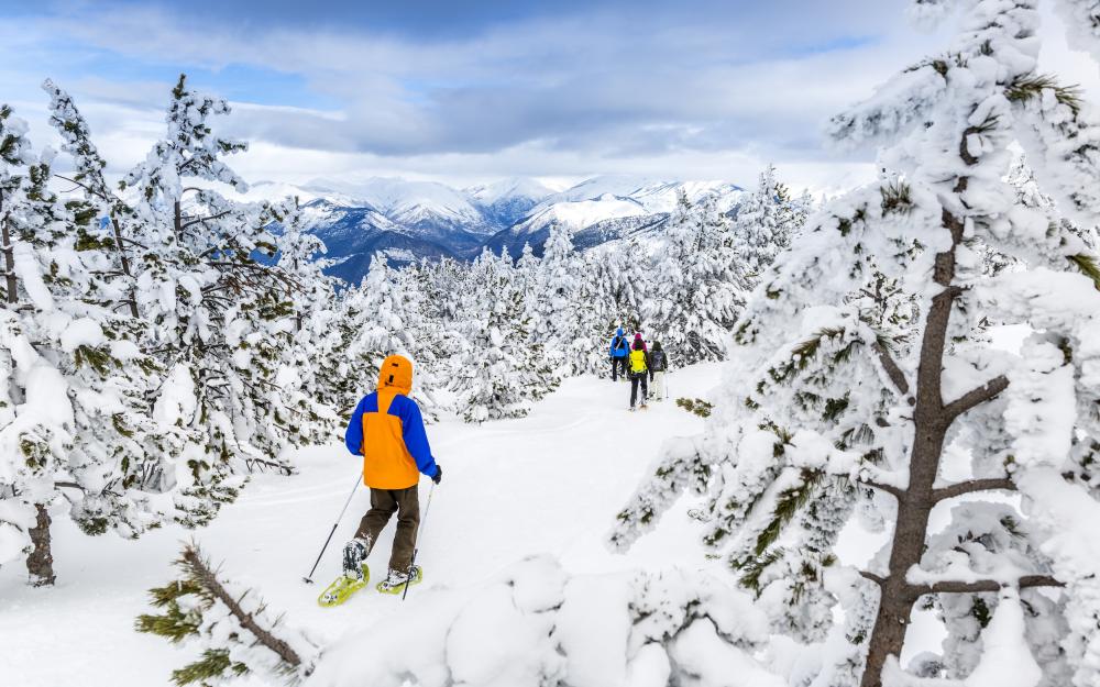 Raquetes de neu i esquí de fons