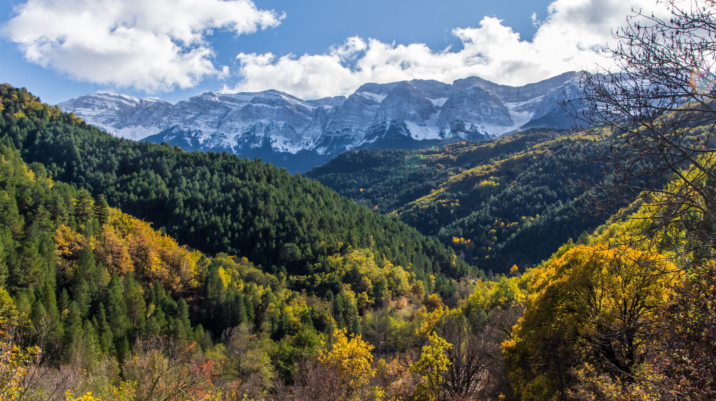 DES MONTAGNES QUI BATTENT