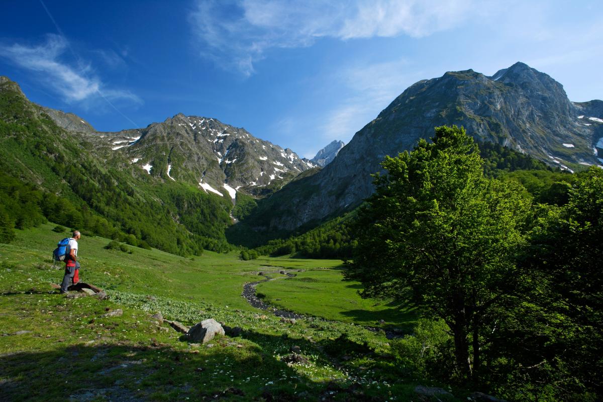 Rafael López Monné