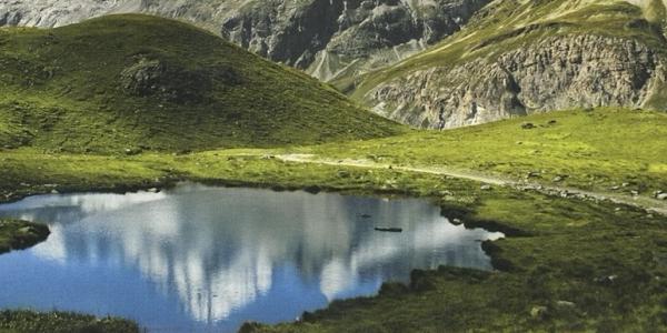 Op wandel in de ontluikende natuur