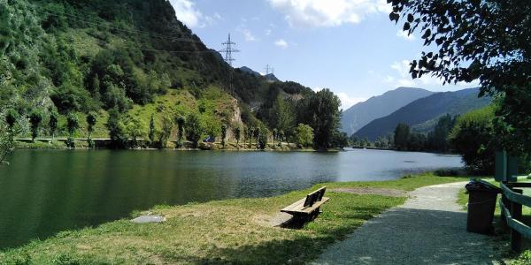 Ocipirineus