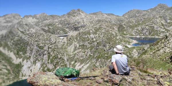 THE BEST PYRENEES